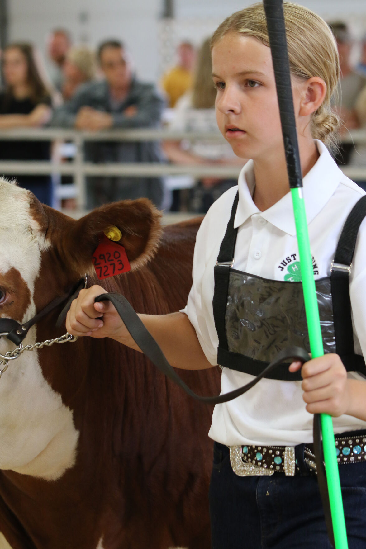 PHOTOS: Market Beef Show 2020